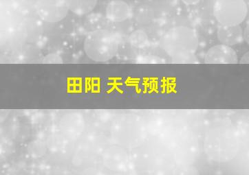 田阳 天气预报